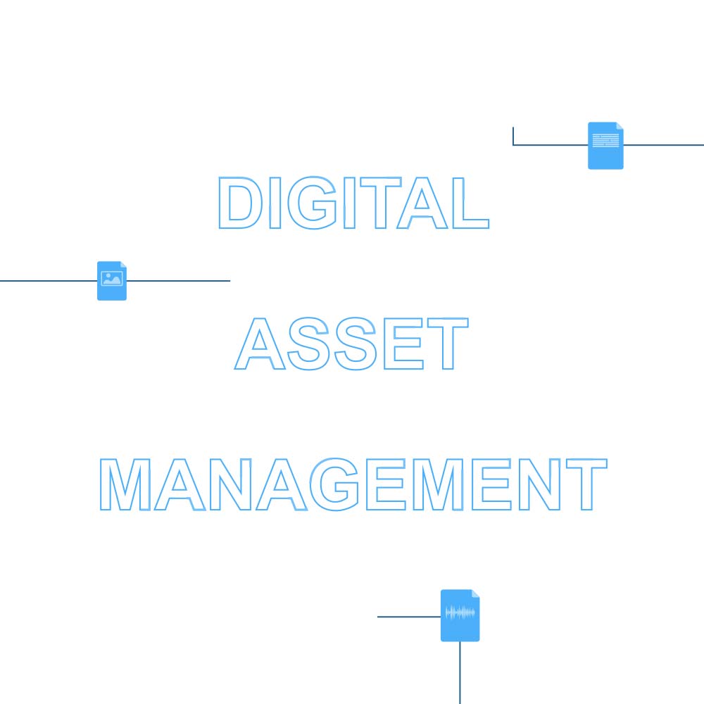 Digital Asset Management Icon