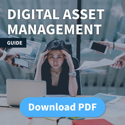 Download PDF Guide to Digital Asset Management